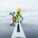 Native-Born American Labor Participation Slumps As Immigrant Labor Numbers Jump
