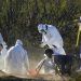 Twelve Bodies Found in Graves Near Mexico Border