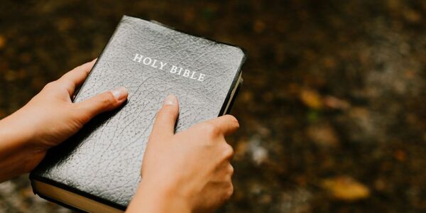 Bible buying on massive uptick after decades of decline in religious practice