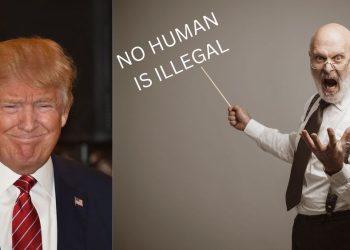 Universities freak out over potential Trump crackdown on illegal aliens, other immigration restrictions