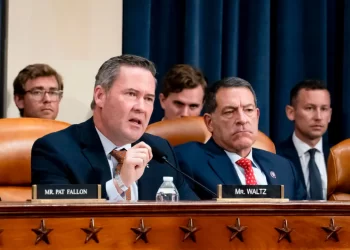 US Needs to Go on Cyber Offense, Says Waltz