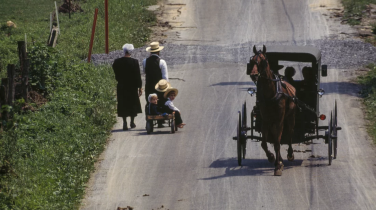 The Radicalization of Pennsylvania’s Amish