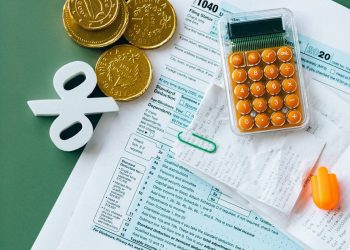 DOGE Needs To Consider The Welfare Cost Of Taxation