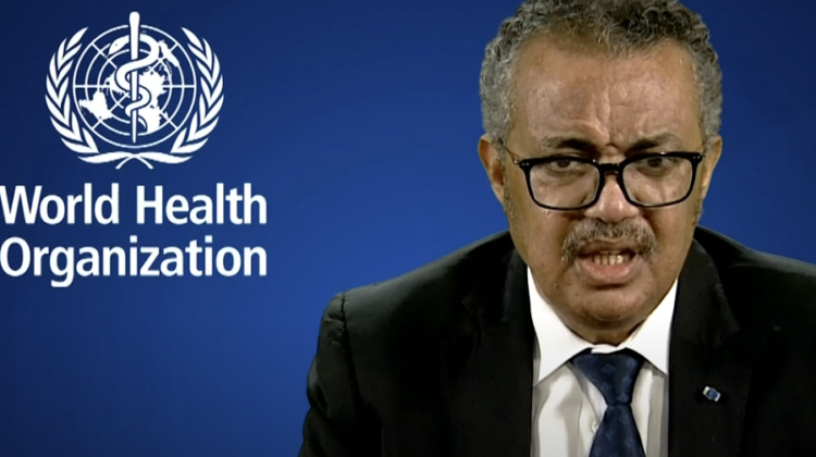 Why Was the Head of the World Health Organization in a Terror State?