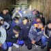 Border Patrol Busts Big Rig Full of Illegals at New Mexico Checkpoint
