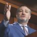 Ted Cruz Absolutely Wrecks Senate Democrats During Pam Bondi Hearing