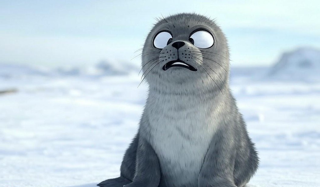 People Who Blame All Natural Disasters on Climate Change Should Be Clubbed Like Baby Seals