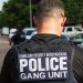 WINNING: Ringleader of Aurora, Colorado Apartment Building Takeovers Nabbed in New York