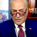 Insolent Democrats Are Going To End Up Creating Their Own Donald Trump