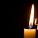 Cultivating Light And Renewal In A Changing World