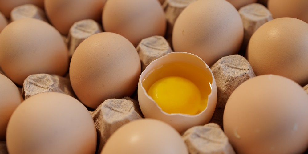 Eggs