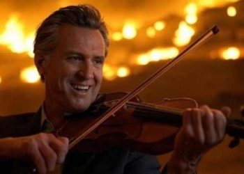 Gavin Newsom