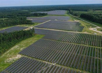 Michigan to Clear 420 Acres of Trees in State Forest for Solar Farm