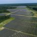 Michigan to Clear 420 Acres of Trees in State Forest for Solar Farm