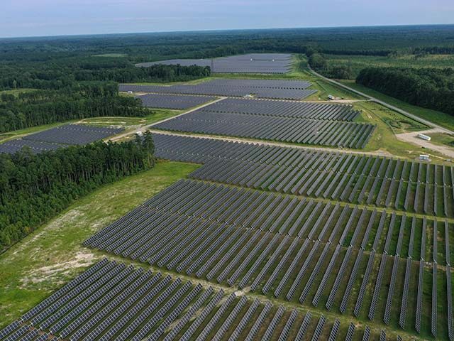 Michigan to Clear 420 Acres of Trees in State Forest for Solar Farm