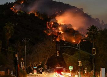 Los Angeles Fire