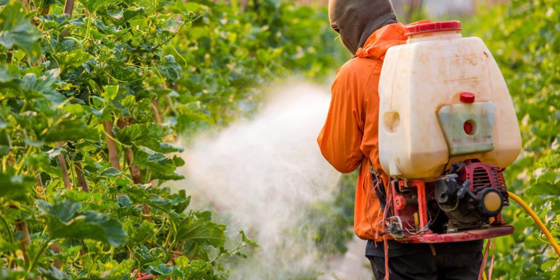 Study finds commonly used herbicide atrazine accelerates the aging of brain cells