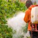 Study finds commonly used herbicide atrazine accelerates the aging of brain cells