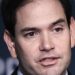 Marco Rubio