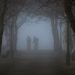 Mystery Fog