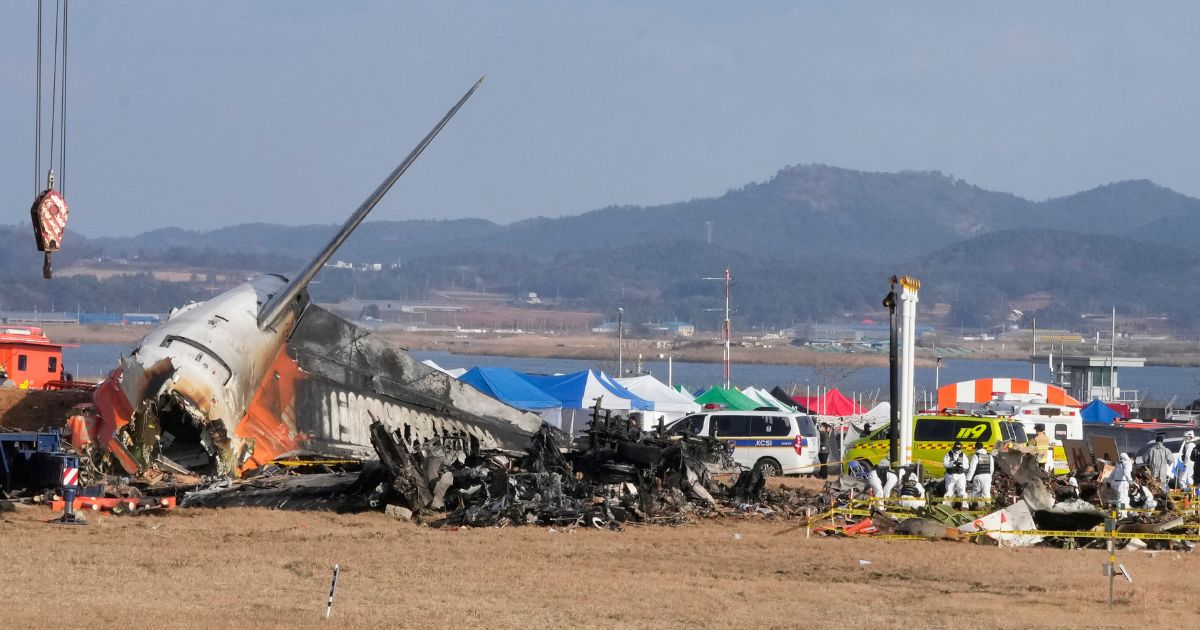 Aviation Consultant Says Official Explanation of South Korean Plane Crash Doesn't Add Up