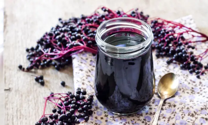 Elderberry Juice May Improve Metabolism, Gut Health: Small Clinical Trial