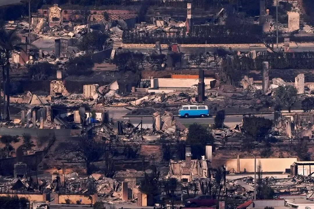 Retro Blue VW Van Miraculously Survives Deadly Los Angeles Fire