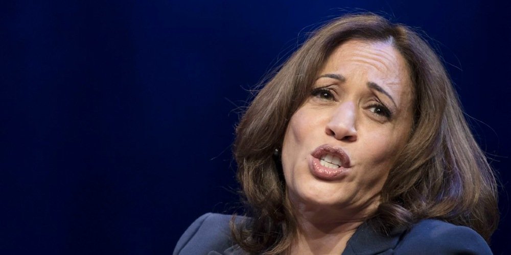 Fox News Contributor Says Heels Up Harris’s Only Prayer of a Political Comeback Is a Weak “Democratic Bench”