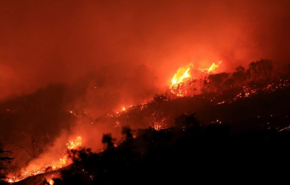 Los Angeles fires raise concerns of ‘super toxic’ lung damage