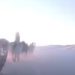 Denmark is Defending Greenland With Sled Dogs
