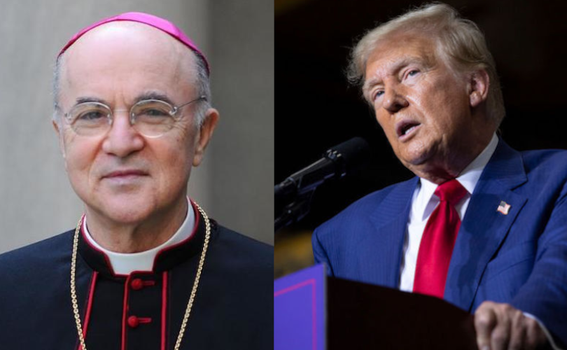 Archbishop Viganò: Trump’s Victory is a Formidable Setback for the New World Order