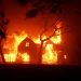 California Residents Sound Alarm After Insurance Companies Removed Fire Protection In Recent Months