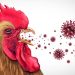 Bird Flu