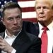 Musk Trump