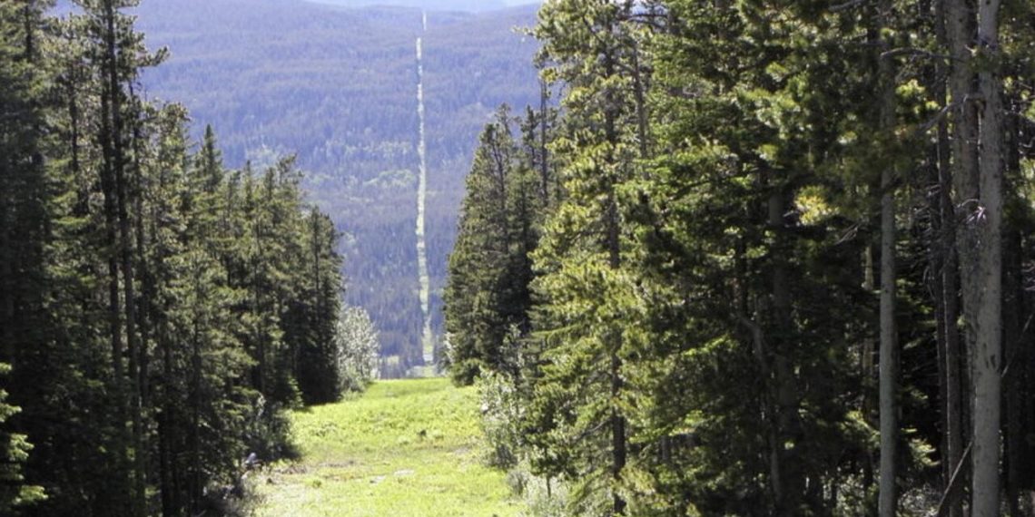 Northern Border An "Undefended" And "Easy Target" As Canadian Coyotes Smuggle Migrants From Montreal To New York