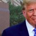 Trump IRS