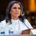 Tulsi Gabbard