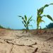 Mexico Faces Looming Deadline To Settle ‘Water Debt’ With America
