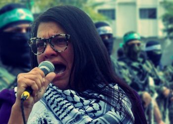 Rashida Tlaib and Other House Democrats Refuse to Condemn Attacks on Tesla Dealerships