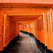 Japan’s Never-Ending Germophobia