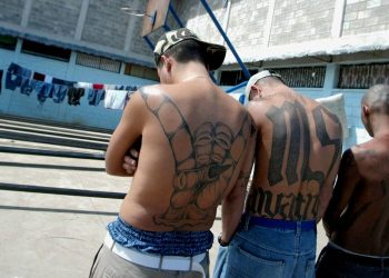 “One of the Top Three”: Feds Nab MS-13 Kingpin Roughly One Hour Away From Nation’s Capital