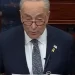 Who Can Replace Schumer?
