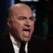 Kevin O'Leary Tariffs