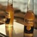 corona-extra-beer