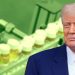 Big Pharma