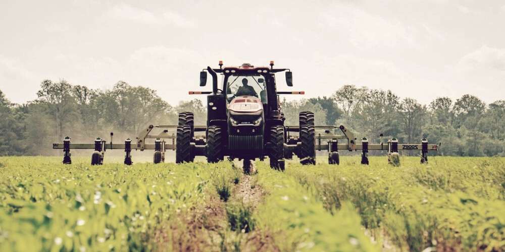 Farmers