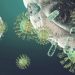 Immune System
