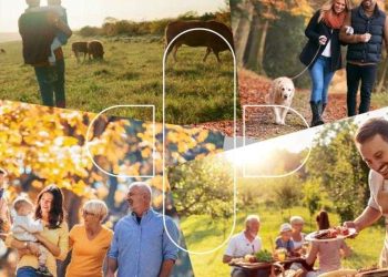 Ivermectin + Mebendazole