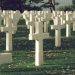 Memorial Day (1)