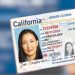Real ID